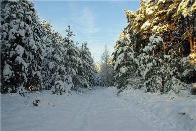 《伊苏》新作秘密启动！Falcom社长亲证开发中